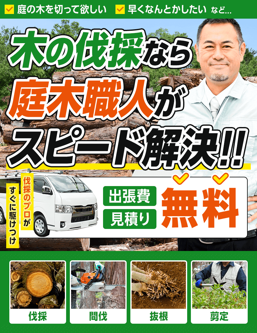 「庭の木を切って欲しい」「早くなんとかしたい」など、木の伐採なら庭木職人がスピード解決!!伐採のプロがすぐに駆けつけ。伐採、間伐、抜根、剪定など、なんでもお任せください。出張費、見積り無料。