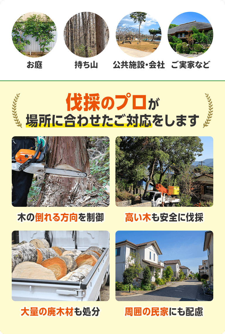 お庭、持ち山、公共施設・会社、ご実家など。伐採のプロが場所に合わせたご対応をします。木の倒れる方向を制御。高い木も安全に伐採。大量の廃木材も処分。周囲の民家にも配慮。